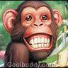 animal46.jpg