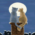 bacakediler5yr.gif