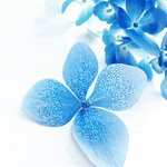 blue1501502et2.gif