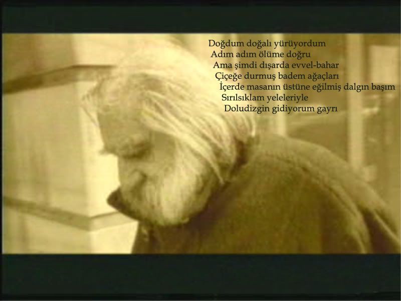 canbaba1800600.jpg