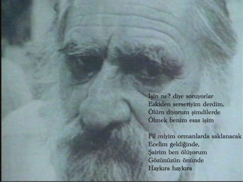 canbaba3800600.jpg