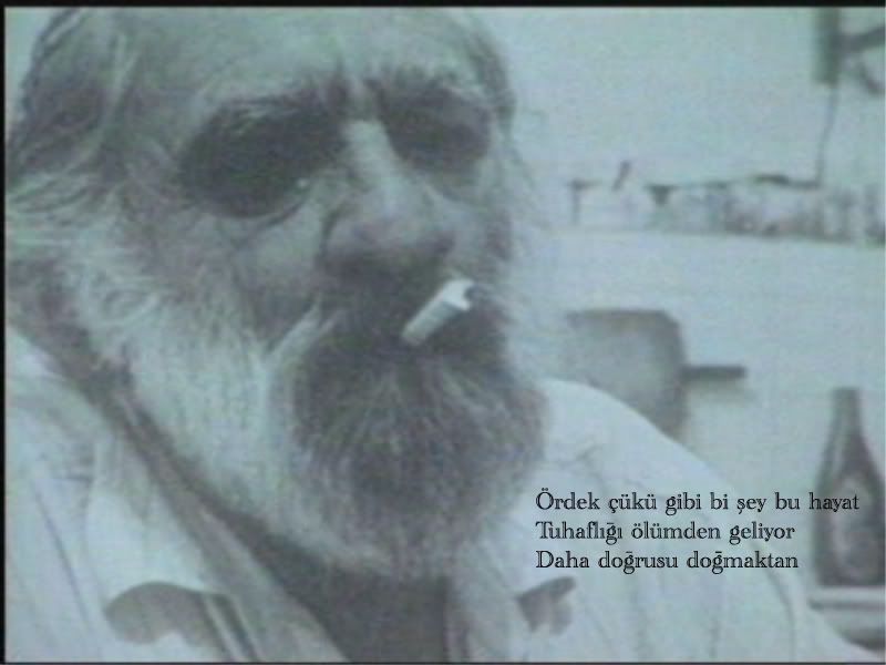 canbaba4800600.jpg