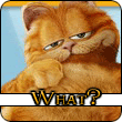 catav176.gif