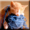 catav216.gif