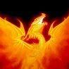 dragons12.jpg