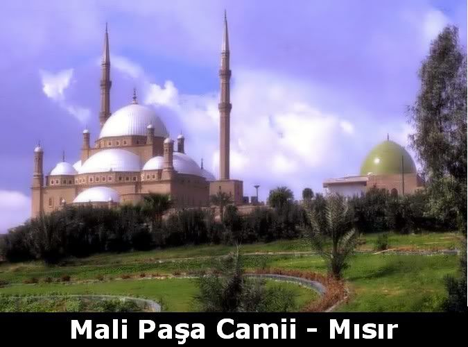 malipasacamiimisir10yb.jpg