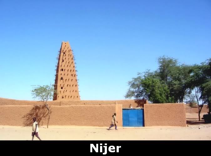 nijer19cy.jpg
