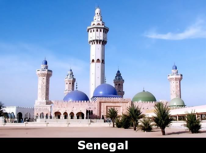 senegal11zv.jpg