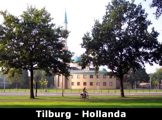 tilburghollanda9kf.jpg