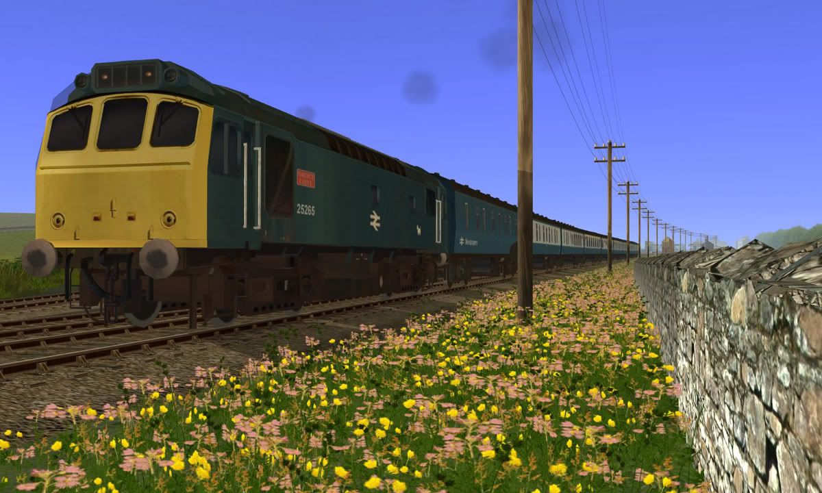 Clag--Sparks-124.jpg