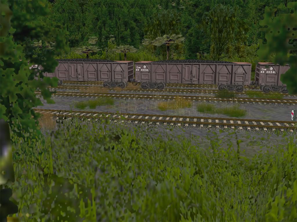 brownc64k.jpg