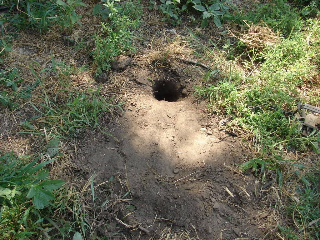 Dirt Hole