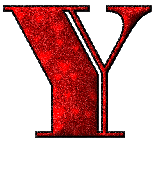 Y.gif picture by amandavivina