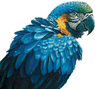 ruhtuzv21.gif picture by amandavivina