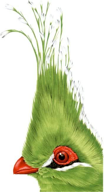 uuui.jpg picture by amandavivina