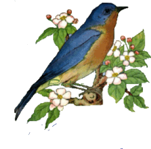 x29plmmf1.gif picture by amandavivina