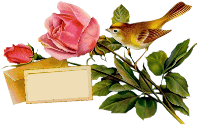 y_bird30.gif picture by amandavivina