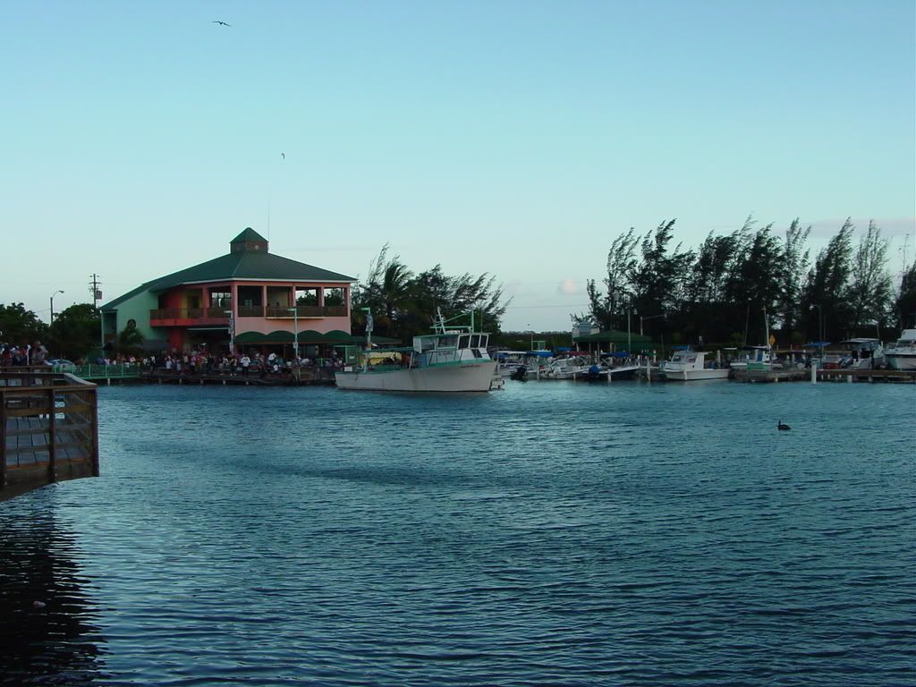 91.jpg picture by amandavivina