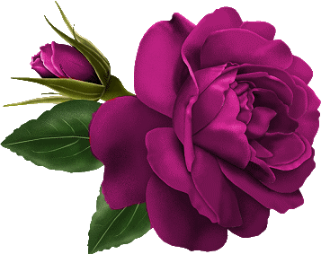 AmiFlor251.gif picture by amandavivina