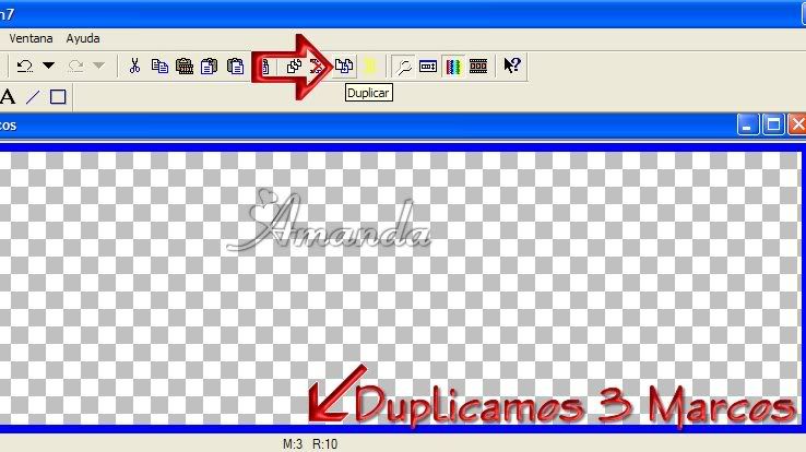 duplic3.jpg picture by amandavivina