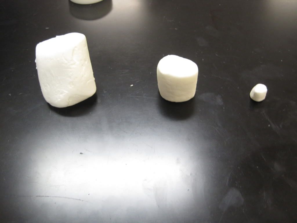 the 3 different sizes of marshmallows used 