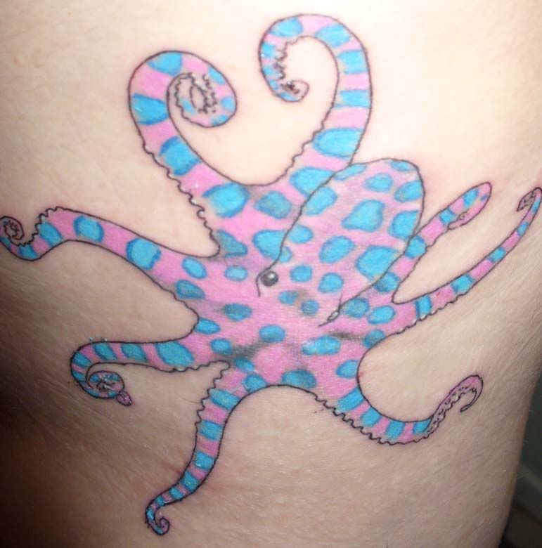 blue ring octopus tattoo Image