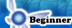 Beginner Beginner