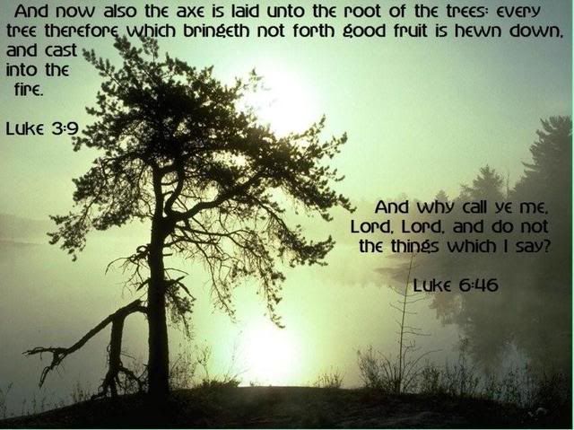 scriptures Pictures, Images and Photos