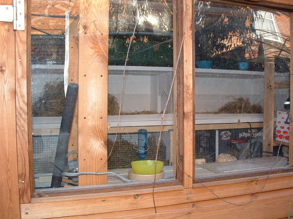 shed007.jpg