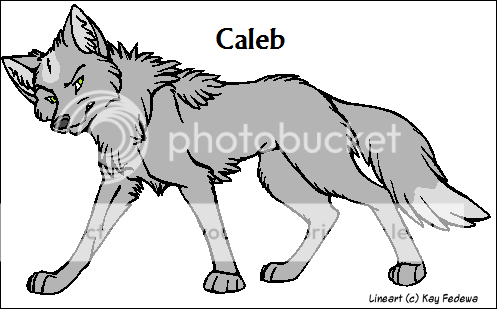 Caleb2.png