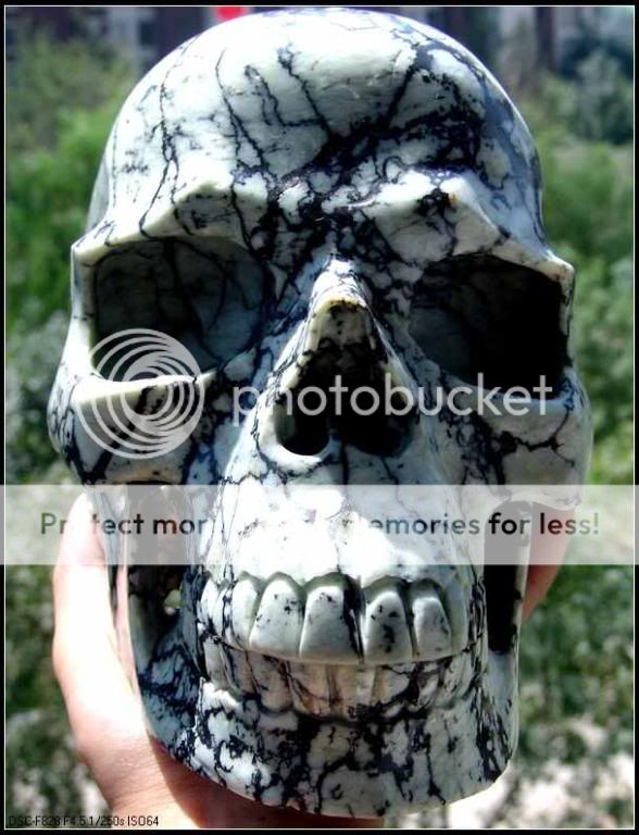 Huge 9.96LB Stunning Network Jasper Crystal Art Skull  